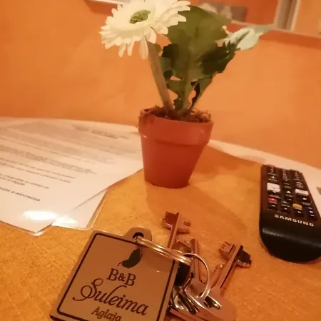Le Di Suleima Pensionat